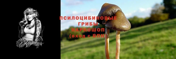 скорость Чекалин