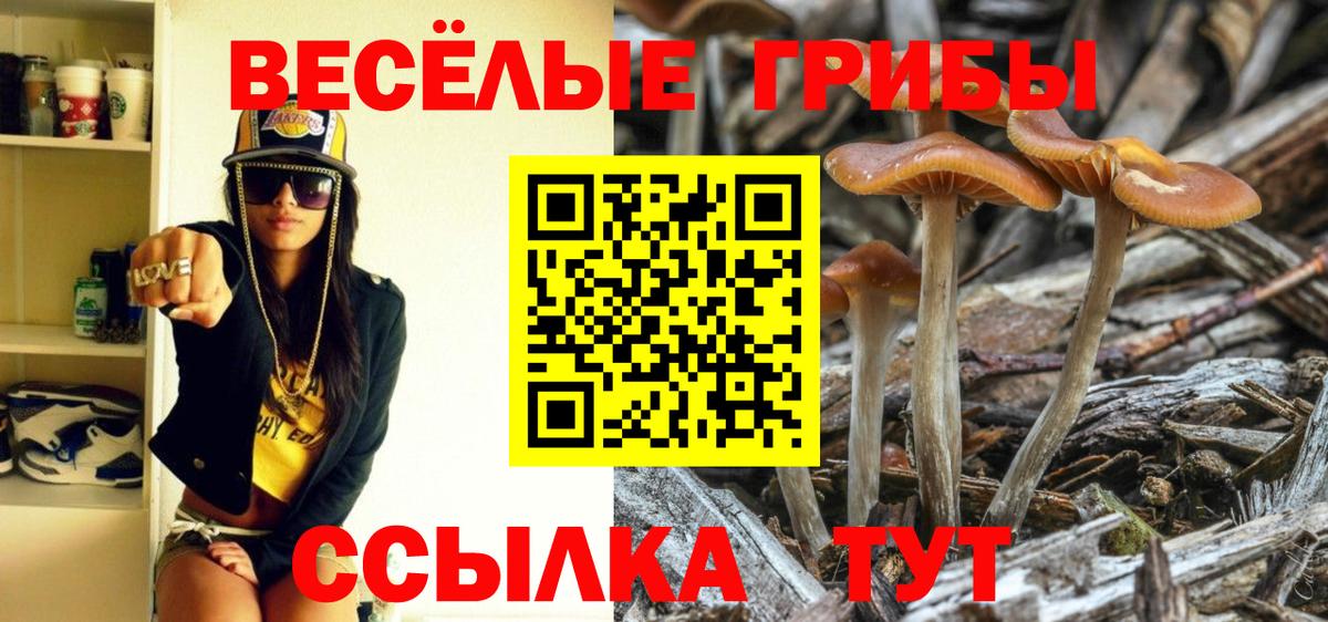 Галлюциногенные грибы MAGIC MUSHROOMS  купить закладку  Кисловодск  Вход с VPN 